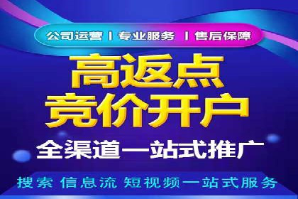 探索百度竞价广告的未来趋势：基于多案例的分析